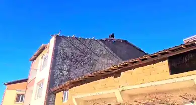 Adıyaman'da Fırtına Hasarı: Çatılar Uçtu, Ağaçlar Devrildi