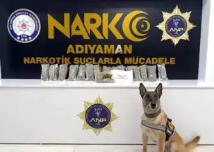 Güneydoğu'da Uyuşturucu Operasyonu: 5 Kg Esrar Ele Geçirildi