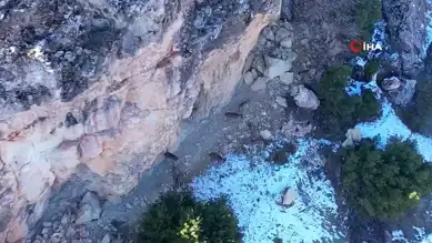 Adıyaman'da Yaban Keçisi Sayımı Yapıldı