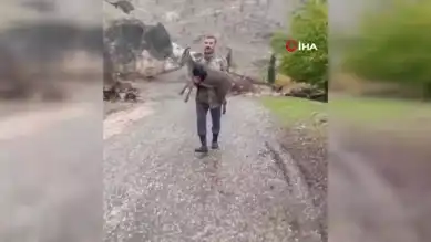 Bitkin Dağ Keçisi Yavrusu Kurtarıldı