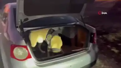 Dedektör Köpek, Yakıt Deposunda Uyuşturucu Buldu!