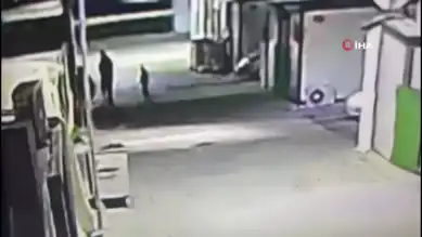 Depremzede Konteyner Kentinde Klima Hırsızlığı