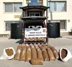Mersin'de 455 Kilo Kaçak Tütün Operasyonu