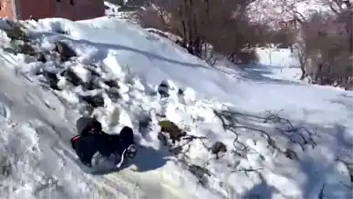 Sincik'te Kar Keyfi: Çocuklar Karda Eğleniyor!
