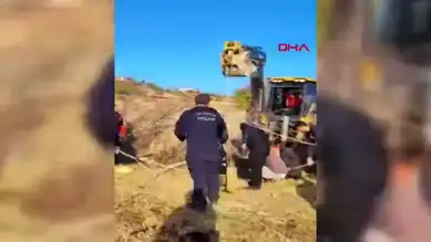Kuyuya Düşen İnek Kurtarıldı