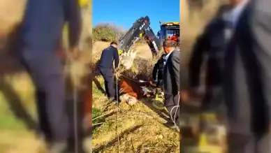 Kuyuya Düşen İnek Kurtarıldı