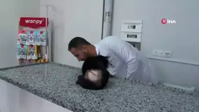 Adıyaman'da Tüfekle Vurulan Kedi Ameliyat Edildi