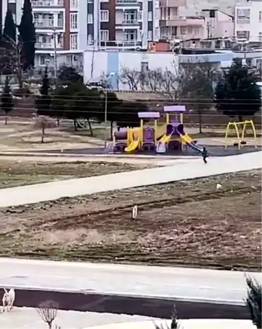 Adıyaman'da Çocuk, Sokak Köpeklerinin Saldırısından Kıl Payı Kurtuldu!