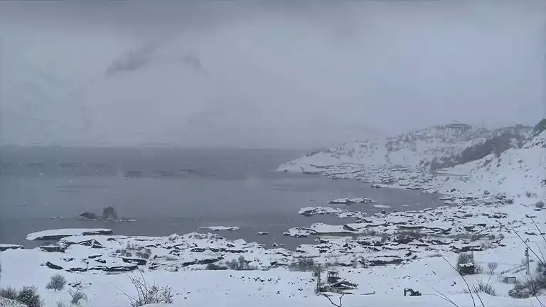 Çat Barajı'ndaki Yüzen Adalar Dondu!