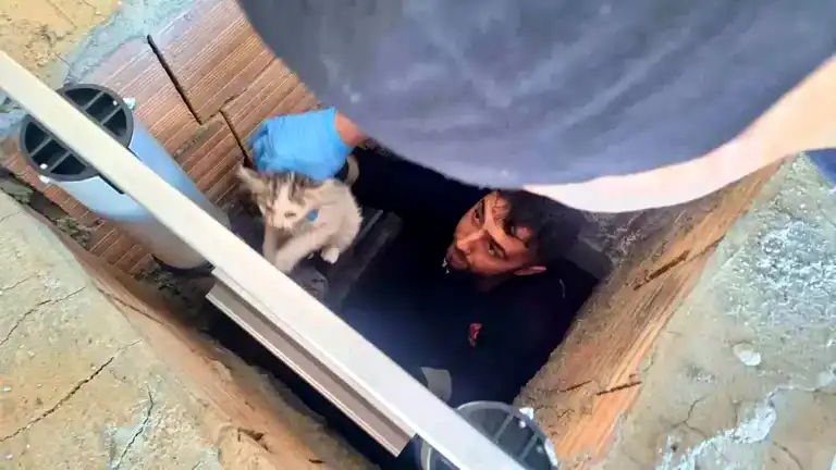 Kahta'da Havalandırma Boşluğunda Mahsur Kalan Yavru Kedi Kurtarıldı