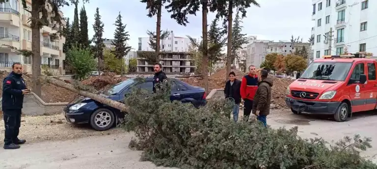 Şiddetli Rüzgar Ağaç Devrdi, Araç Hasar Gördü